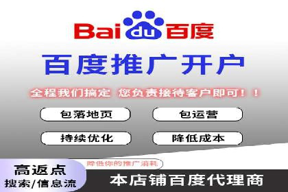 谷歌竞价广告与SEO结合的营销案例解析